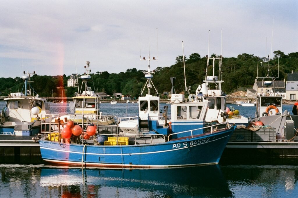 Bateaux amarrés dans un port de la côte