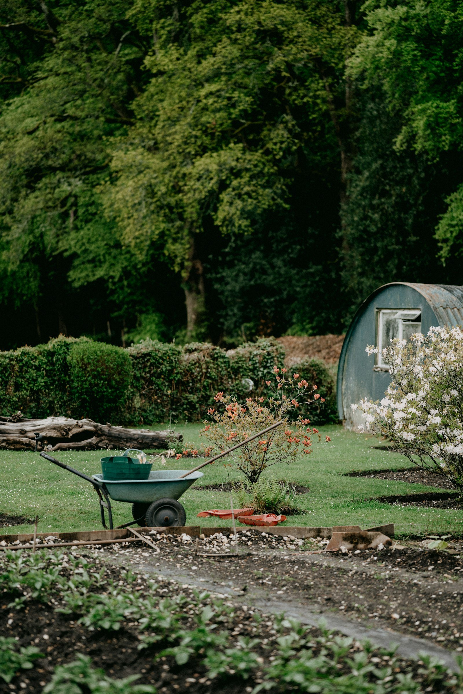 Jardin fleuri entretenu par un paysagiste, avec une brouette